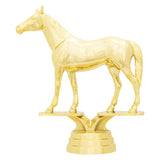 Thoroughbred