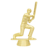 Indoor Cricket