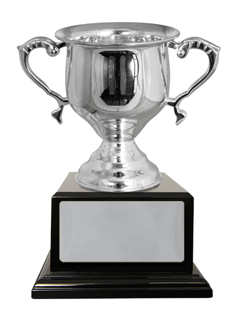 Silver Plated Cup