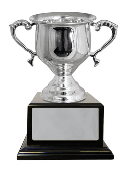 Silver Plated Cup