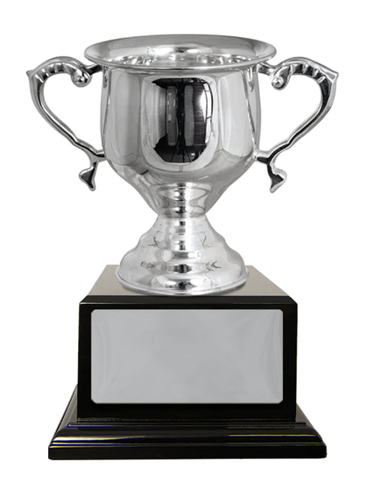 Silver Plated Cup