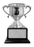 Silver Plated Cup
