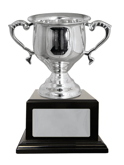 Silver Plated Cup
