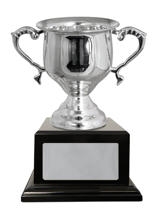 Silver Plated Cup