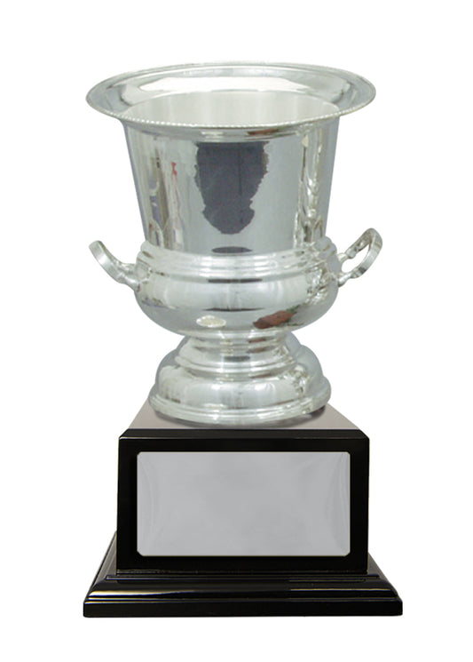 Silver Plated Cup