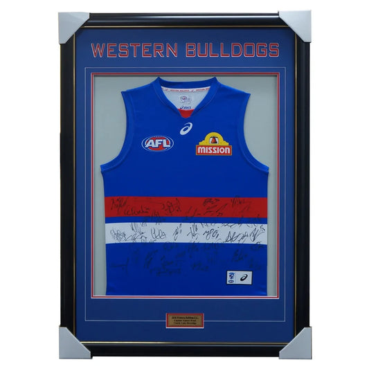 Framed Team Jumper