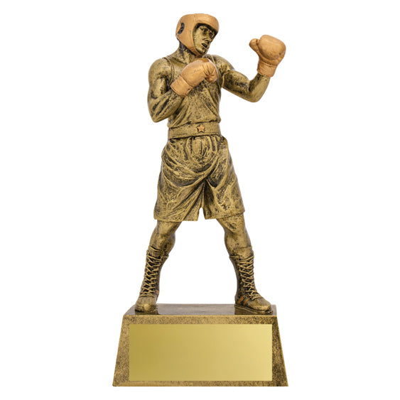 Action Boxer