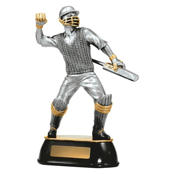 Cricket Celebration