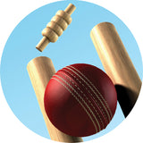 Cricket