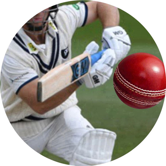 Cricket - Batsman