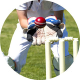 Cricket - Wicketkeeper