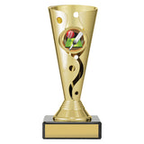 Carnival Cup - Cricket