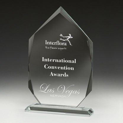 Integrity Arrowhead