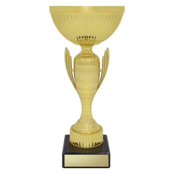 Guardian Cup
