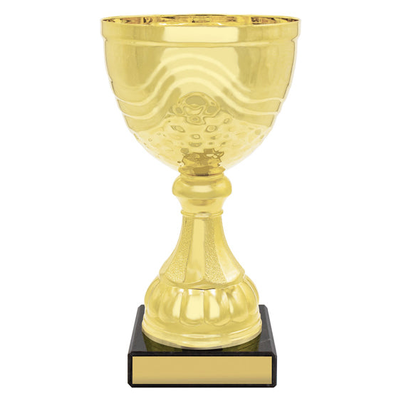 Community Cup