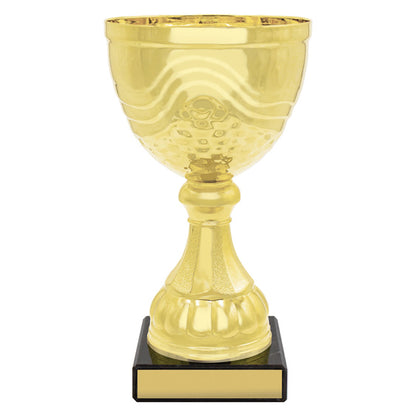 Community Cup
