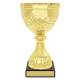 Community Cup