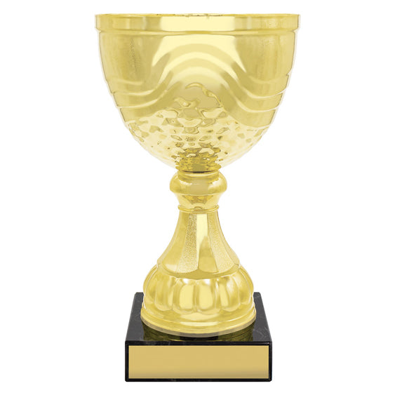 Community Cup