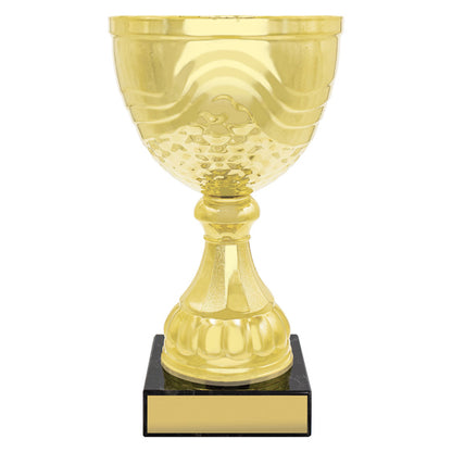 Community Cup