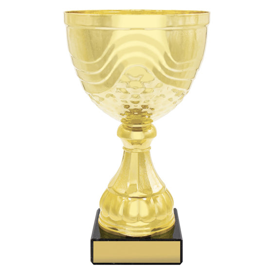 Community Cup