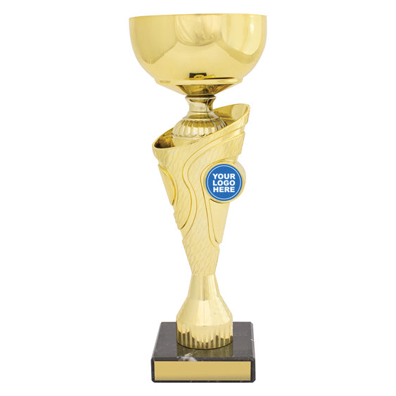 Inspire Cup