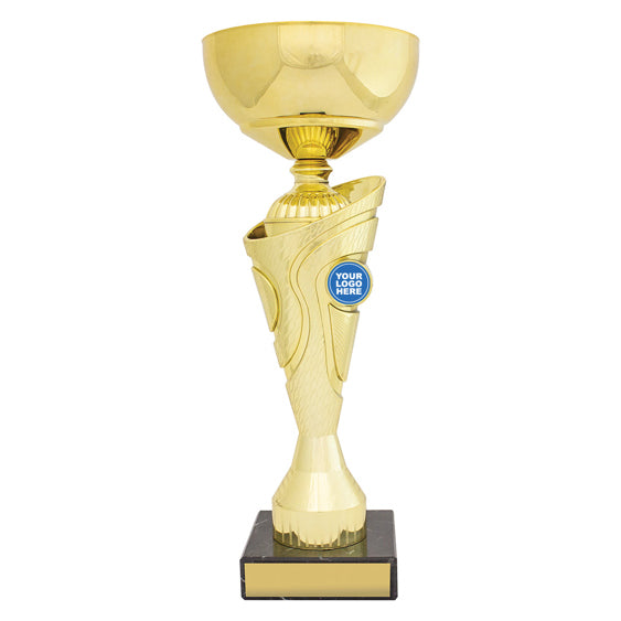 Inspire Cup