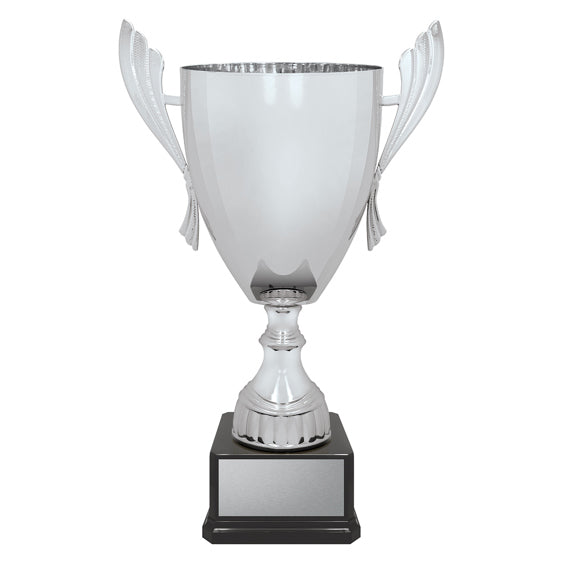 Ironside Cup - Silver