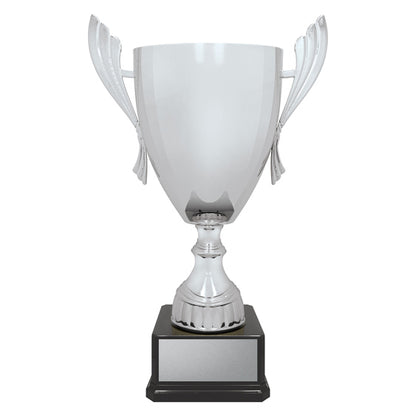 Ironside Cup - Silver