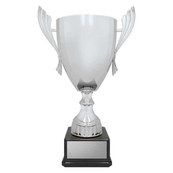 Ironside Cup - Silver