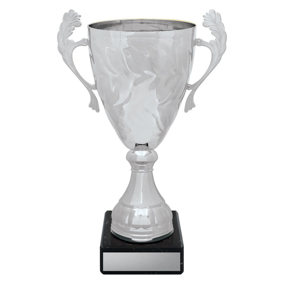 Silver Eternal Cups