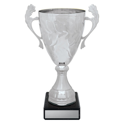 Silver Eternal Cups