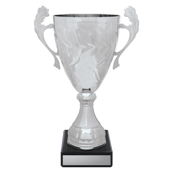 Silver Eternal Cups