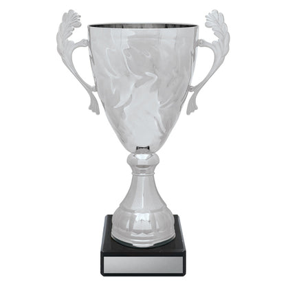 Silver Eternal Cups