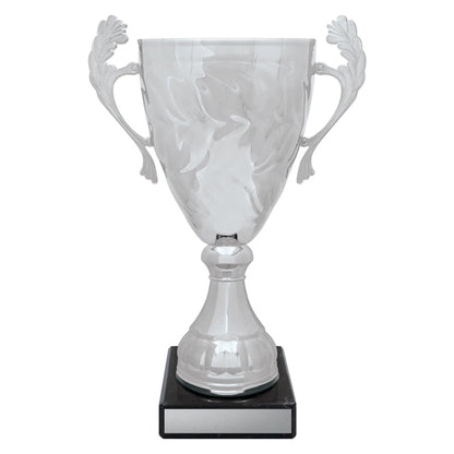Silver Eternal Cups