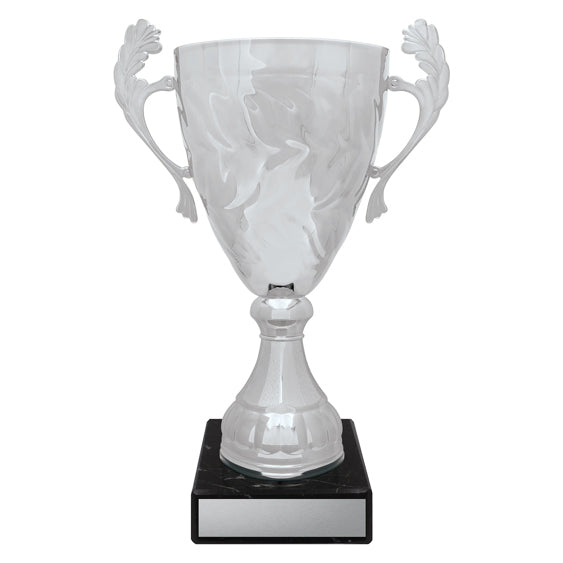 Silver Eternal Cups