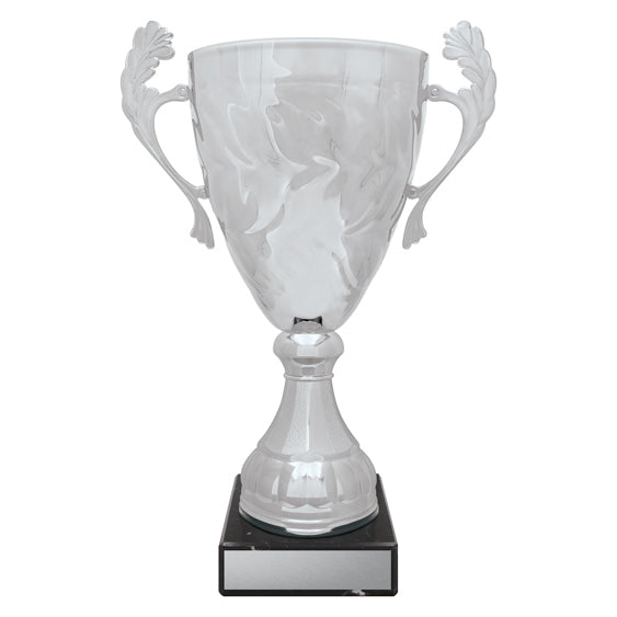 Silver Eternal Cups