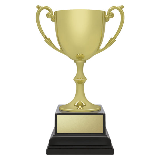 Ace Recognition Gold