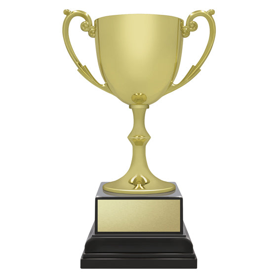 Ace Recognition Gold