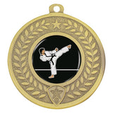 Distinction - Karate