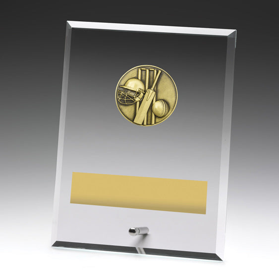 Glass Plaques - Cricket