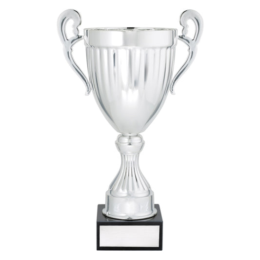 Endeavour - Silver