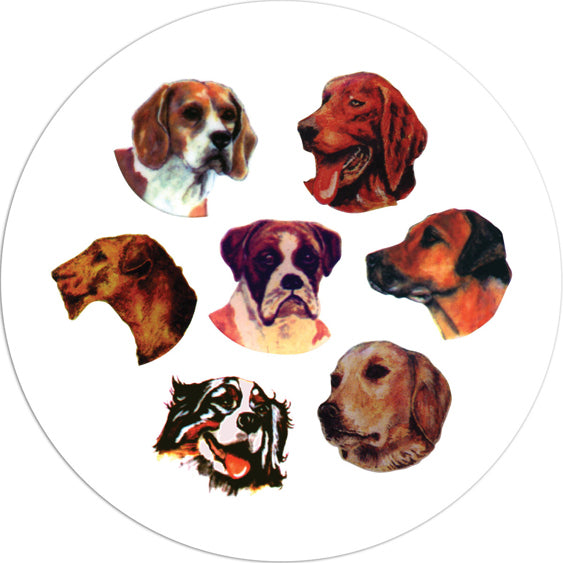 Multi Dog