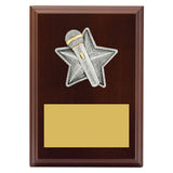 Peak Plaque Public Speaking