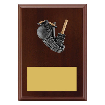Peak Plaque Cricket