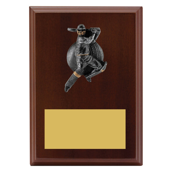 Plaque - Male Batting