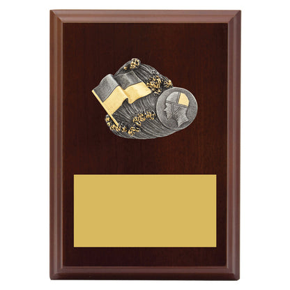 Peak Plaque Lifesaving