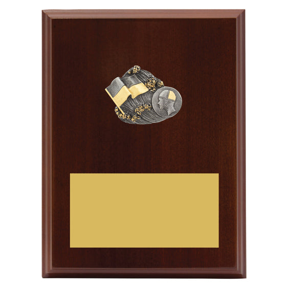 Peak Plaque Lifesaving