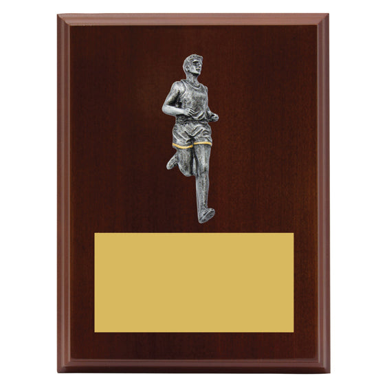 Peak Plaque - Male