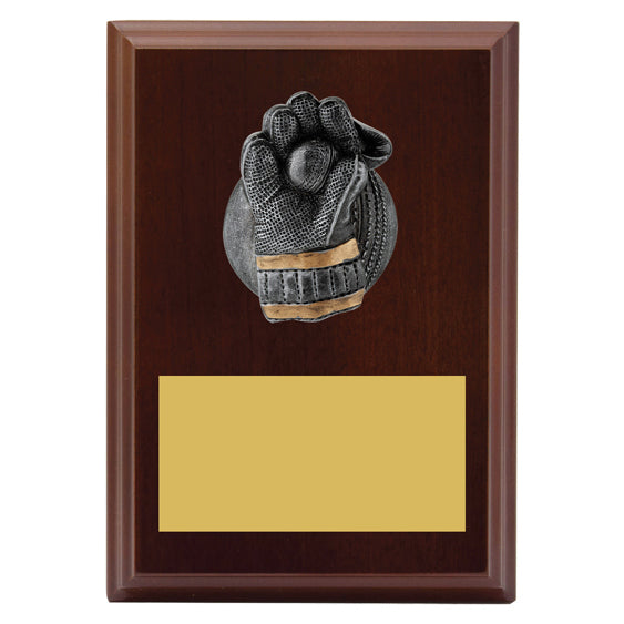 Plaque - Wicketkeeper