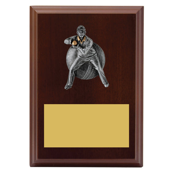 Plaque - Male Fielding